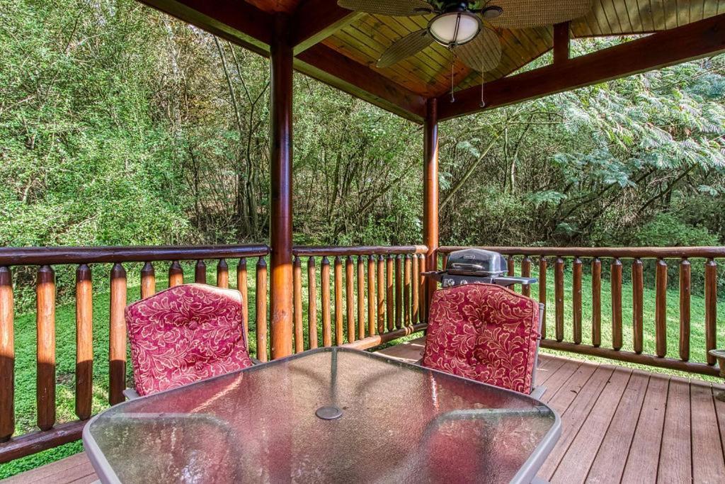 Papa Bear, Hot Tub, Wifi, 1089 Free Tickets Each Paid Day, Dollywood And More Sevierville Ngoại thất bức ảnh