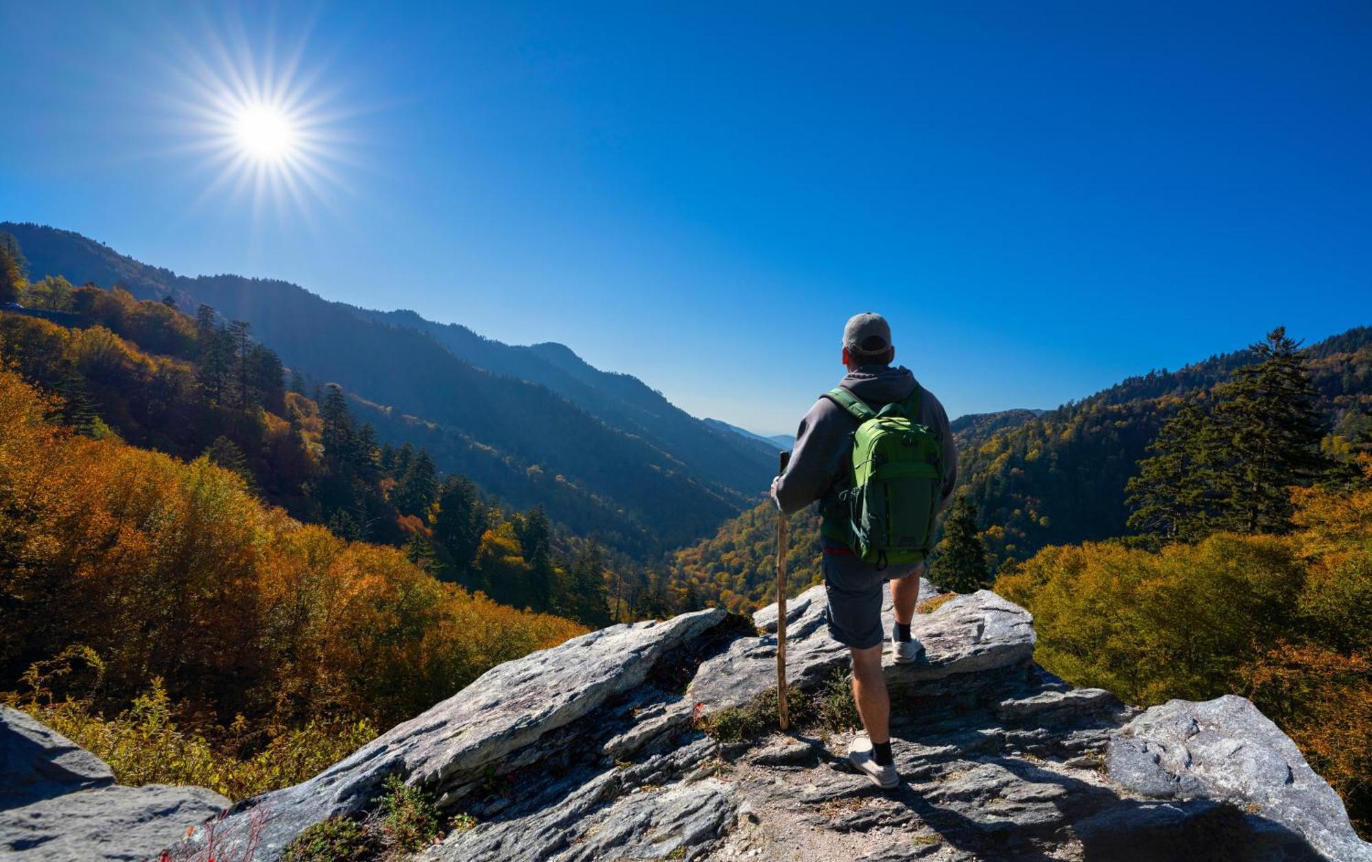 Papa Bear, Hot Tub, Wifi, 1089 Free Tickets Each Paid Day, Dollywood And More Sevierville Ngoại thất bức ảnh